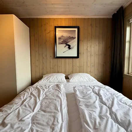 شقة Fantastisk Utsikt I Hemsedal Med In Og Ut *
