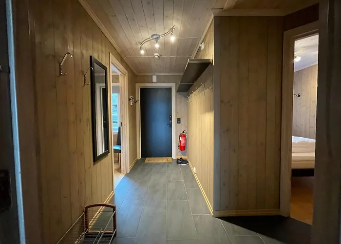 Lägenhet Fantastisk Utsikt I Hemsedal Med In Og Ut Fausko