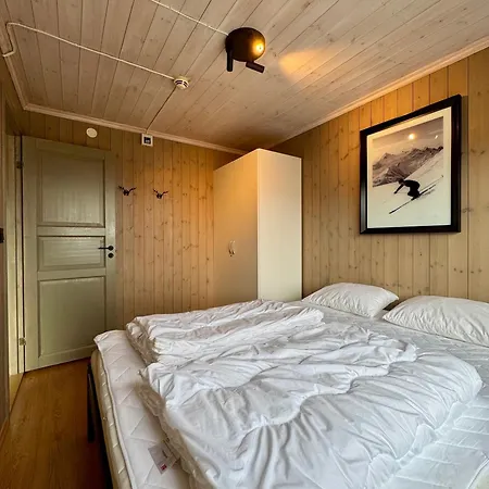 Апартаменты Fantastisk Utsikt I Hemsedal Med In Og Ut Fausko